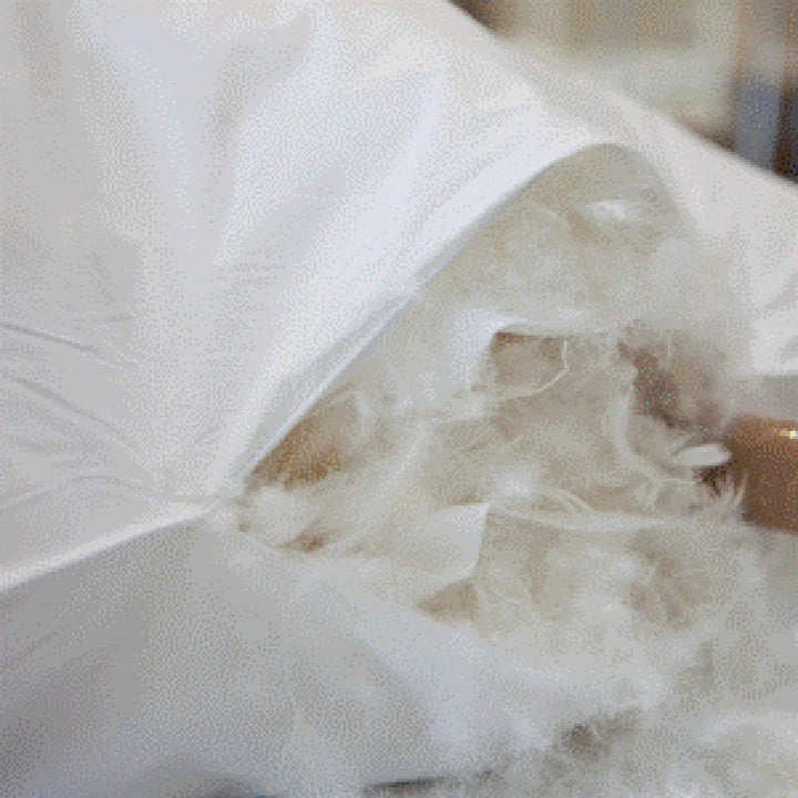 Moon Luxury Kopfkissen 3-Kammer Innenkissen ca. 80x80 cm - 800g - 90% Daunen und 10% Federn mit Trau