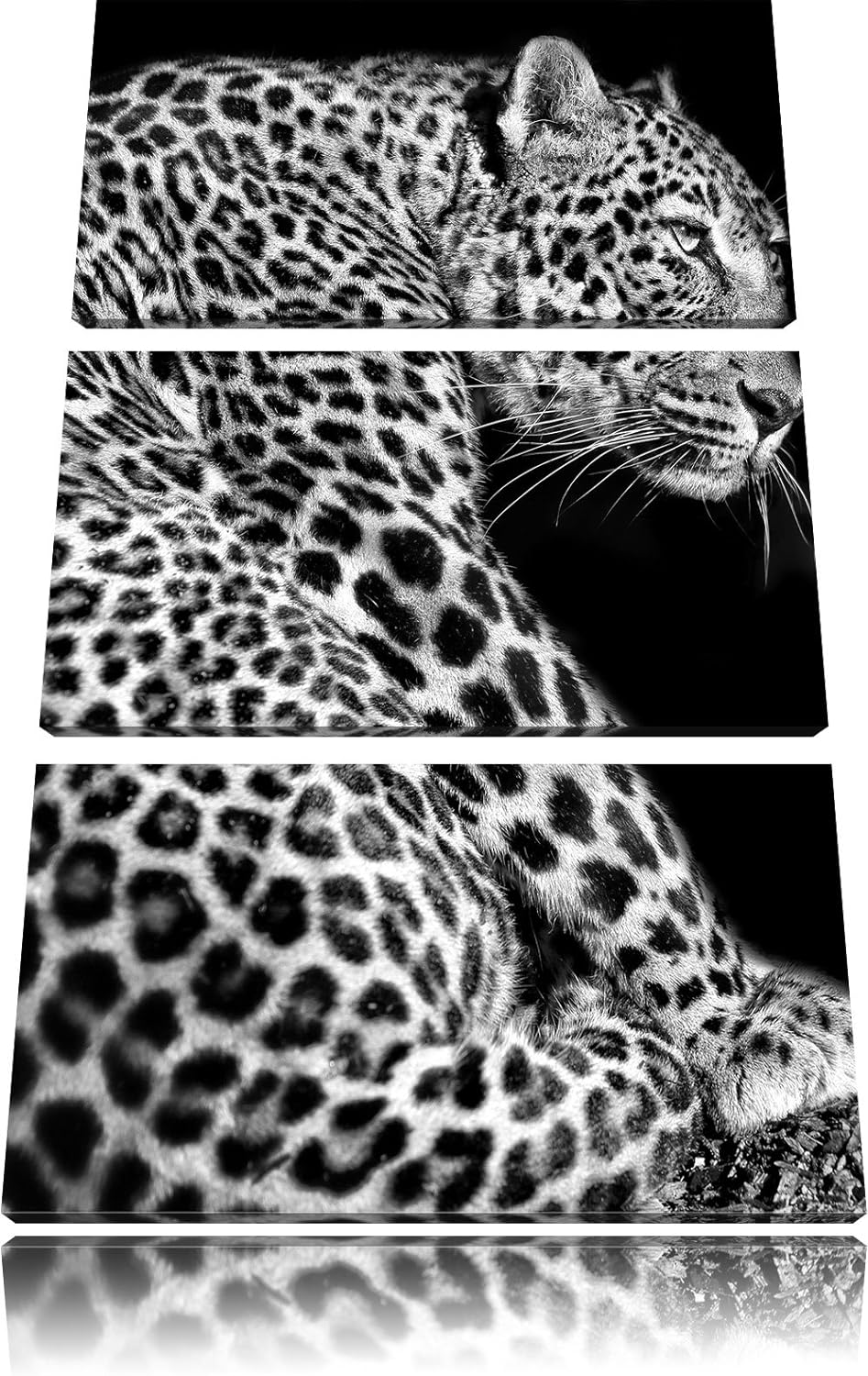 Pixxprint Anmutiger Leopard als Leinwandbild/Grösse: 3 Teilig (120x80) / Wandbild/Kunstdruck/fertig