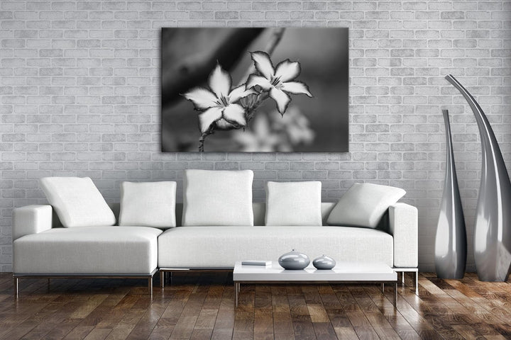 deyoli bezaubernde Impala Lily Effekt: Schwarz/Weiss Format: 80x60 als Leinwand, Motiv fertig gerahm