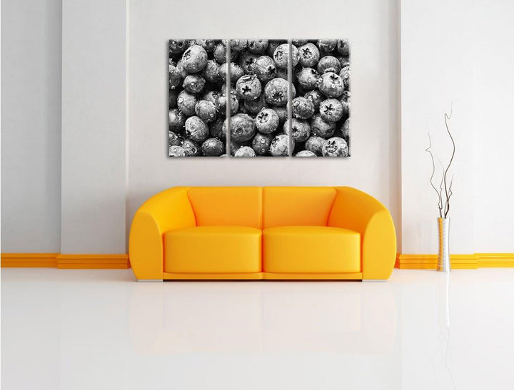 Pixxprint Blaubeeren mit Wassertropfen Kunst B&W 3-Teiler Leinwandbild 120x80 Bild auf Leinwand