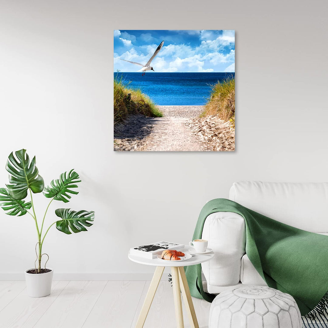 Feeby Wanddeko Ostsee Nordsee Strand 50x50 cm Leinwandbild Kunstdruck Möwe Pfad Gras Blau 17253 50x5