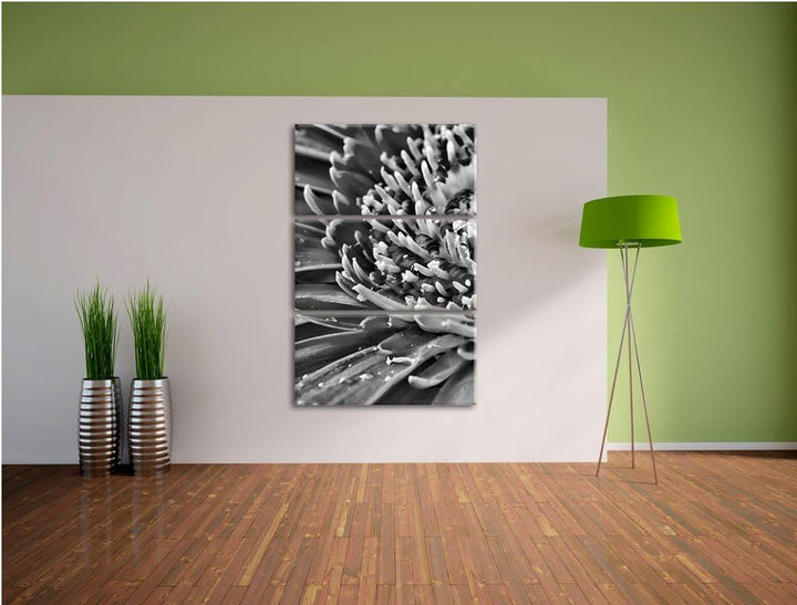 Pixxprint Gerbera mit Wassertropfen als Leinwandbild/Grösse: 3 Teilig (120x80) cm/Wandbild/Kunstdruc