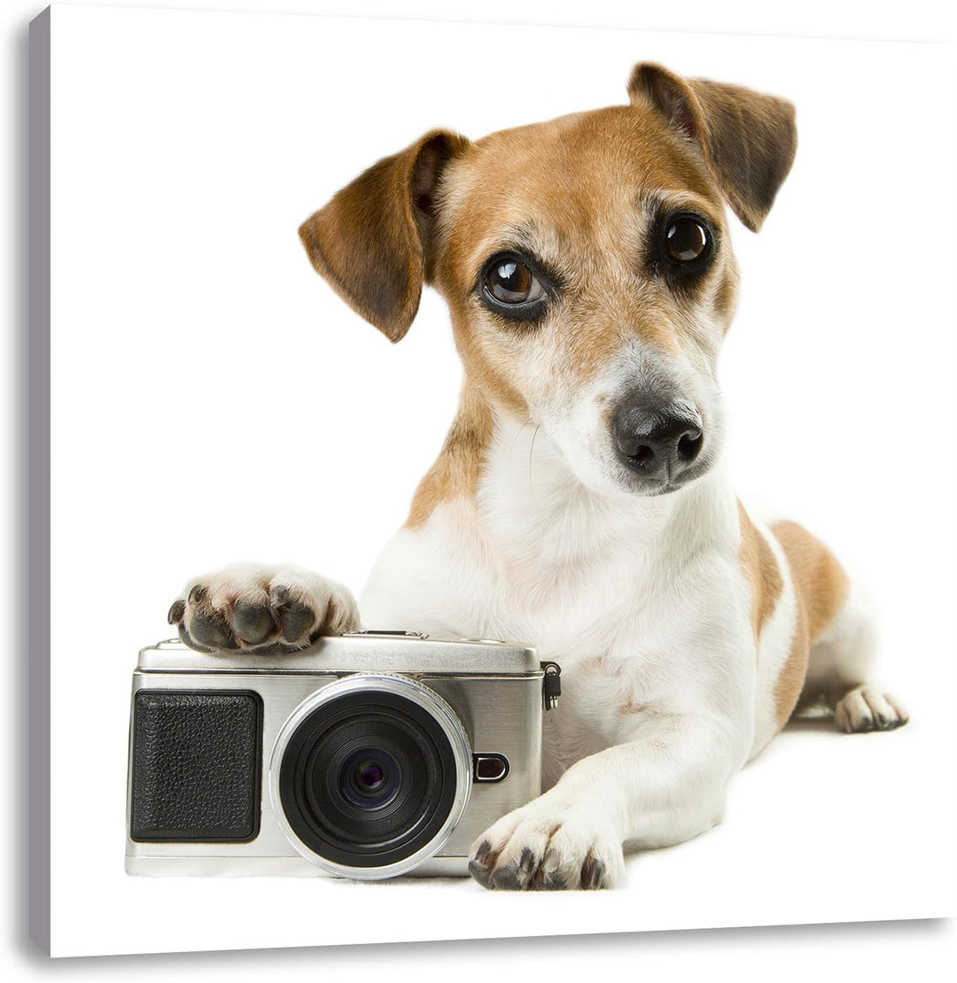 Pixxprint Niedlicher Hundewelpe mit Kamera als Leinwandbild/Grösse: 70x70 cm/Wandbild/Kunstdruck/fer