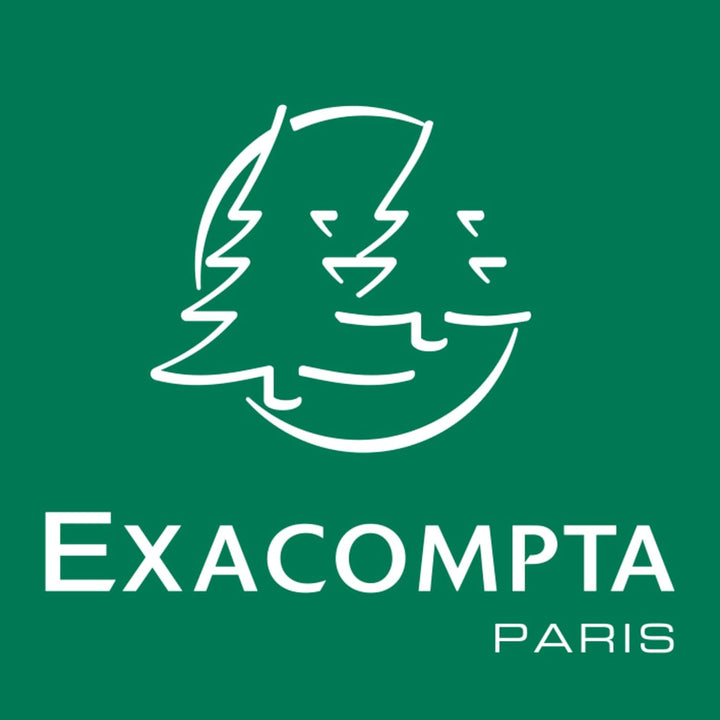 EXACOMPTA 62522E Computerpapier endlos, 240 mm x 12 Zoll (30,48 cm)