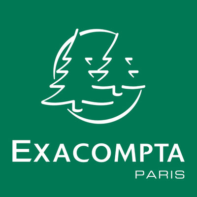 EXACOMPTA 62522E Computerpapier endlos, 240 mm x 12 Zoll (30,48 cm)