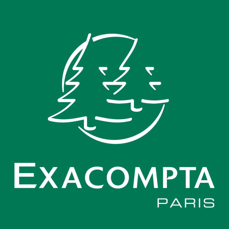 EXACOMPTA 62522E Computerpapier endlos, 240 mm x 12 Zoll (30,48 cm)