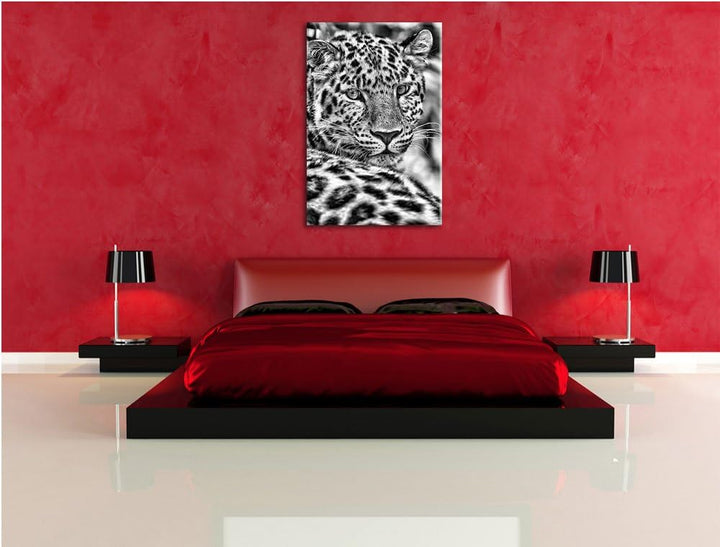 Pixxprint Monocrome, aufmerksamer Leopard im Schatten, Format: 100x70 auf Leinwand, XXL riesige Bild