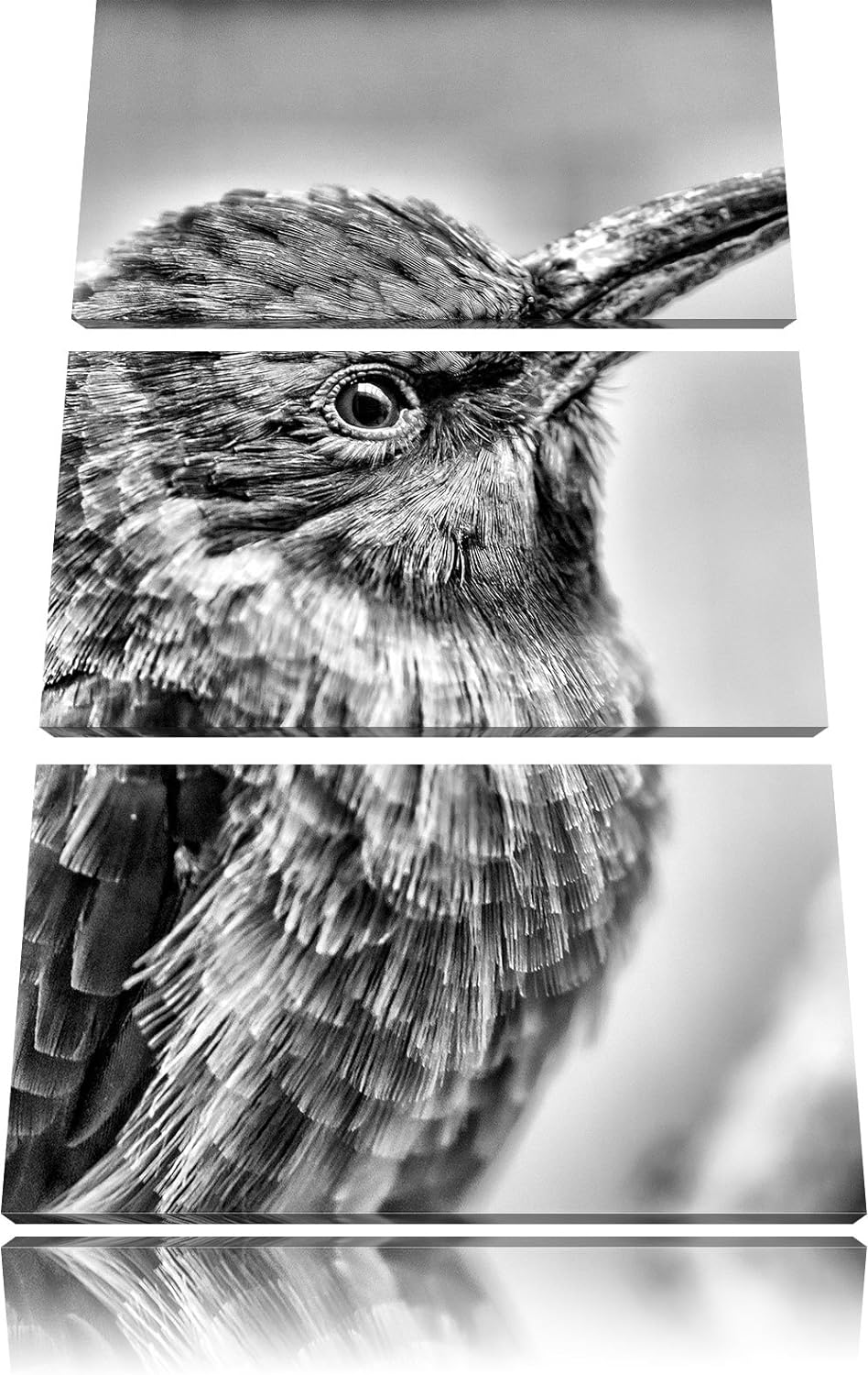 Pixxprint Kleiner tropischer Vogel als Leinwandbild/Grösse: 3 Teilig (120x80) cm/Wandbild/Kunstdruck