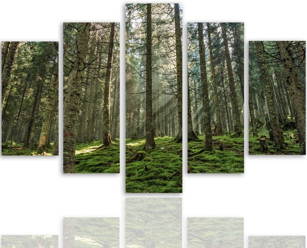 Feeby Leinwandbild Landschaft 5 TLG Bild Kunstdruck Natur Wald Bäume grün 100x70 cm Leinwandbild 100