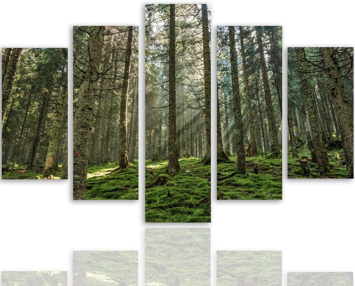 Feeby Leinwandbild Landschaft 5 TLG Bild Kunstdruck Natur Wald Bäume grün 100x70 cm Leinwandbild 100