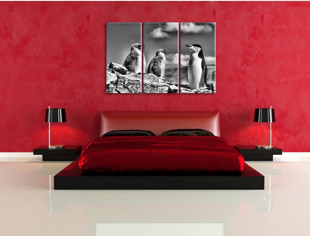 Monocrome, Pinguin mit süssen Küken 3-Teiler Leinwandbild 120x80 Bild auf Leinwand