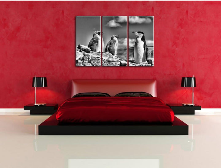 Monocrome, Pinguin mit süssen Küken 3-Teiler Leinwandbild 120x80 Bild auf Leinwand