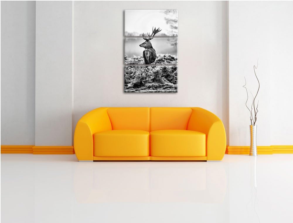 Pixxprint Monocrome, Stolzer Hirsch 3-Teiler Leinwandbild 120x80 Bild auf Leinwand