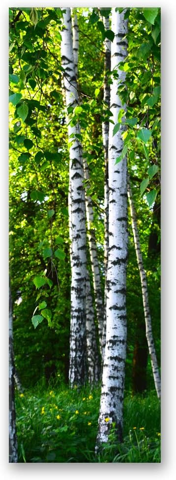 Feeby Vlies Leinwandbild Birkenbäume 60x150 cm Wand Bild Kunstdruck Deko Wohnzimmer Wohnungs Deko Gr