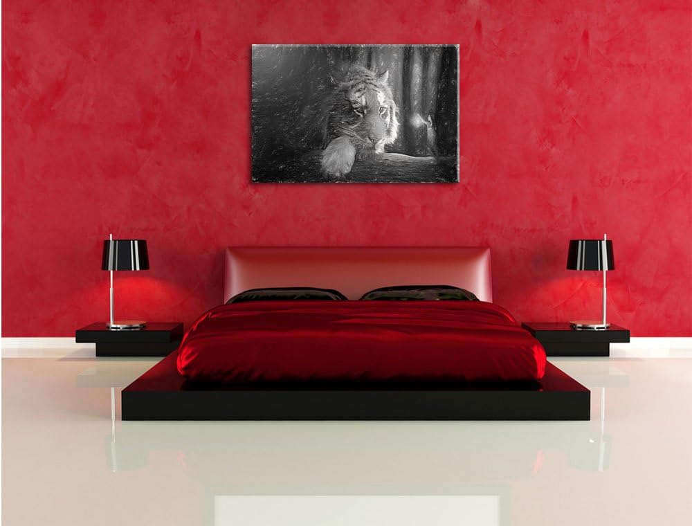 Pixxprint Eine Frau und EIN Riesen-Tiger / 100x70cm Leinwandbild bespannt auf Holzrahmen/Wandbild Ku