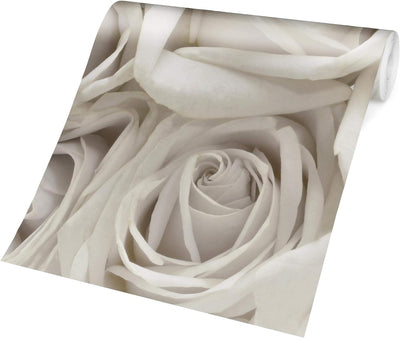 Vliestapete Weisse Rosen Premium, Grösse: 225cm x 336cm, 225cm x 336cm