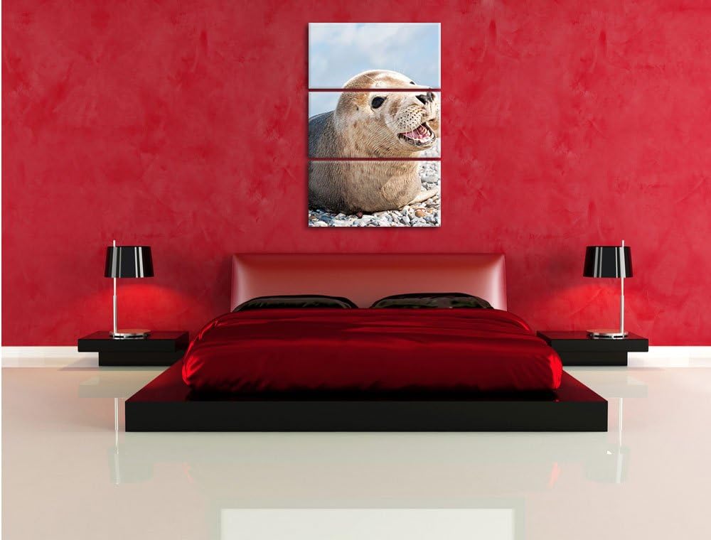 Pixxprint Süsse Robbe auf Steinstrand als Leinwandbild/Grösse: 3 Teilig (120x80 cm) cm/Wandbild/Kuns