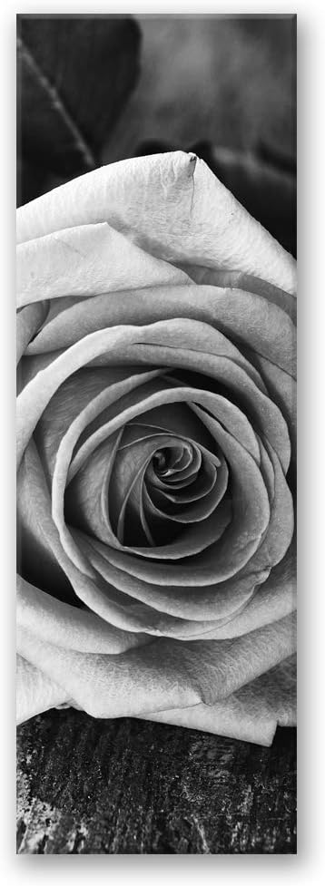 Feeby Wandbild Rose Druckbild Leinwandbild abstrakt schwarz-weiss 40x120 cm Leinwandbild 40x120 cm S