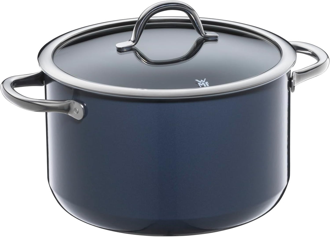 WMF Fusiontec Inspire Kochtopf gross, 24 cm, Glasdeckel, Fleischtopf Induktion, 6,4l, High-Tech Kera