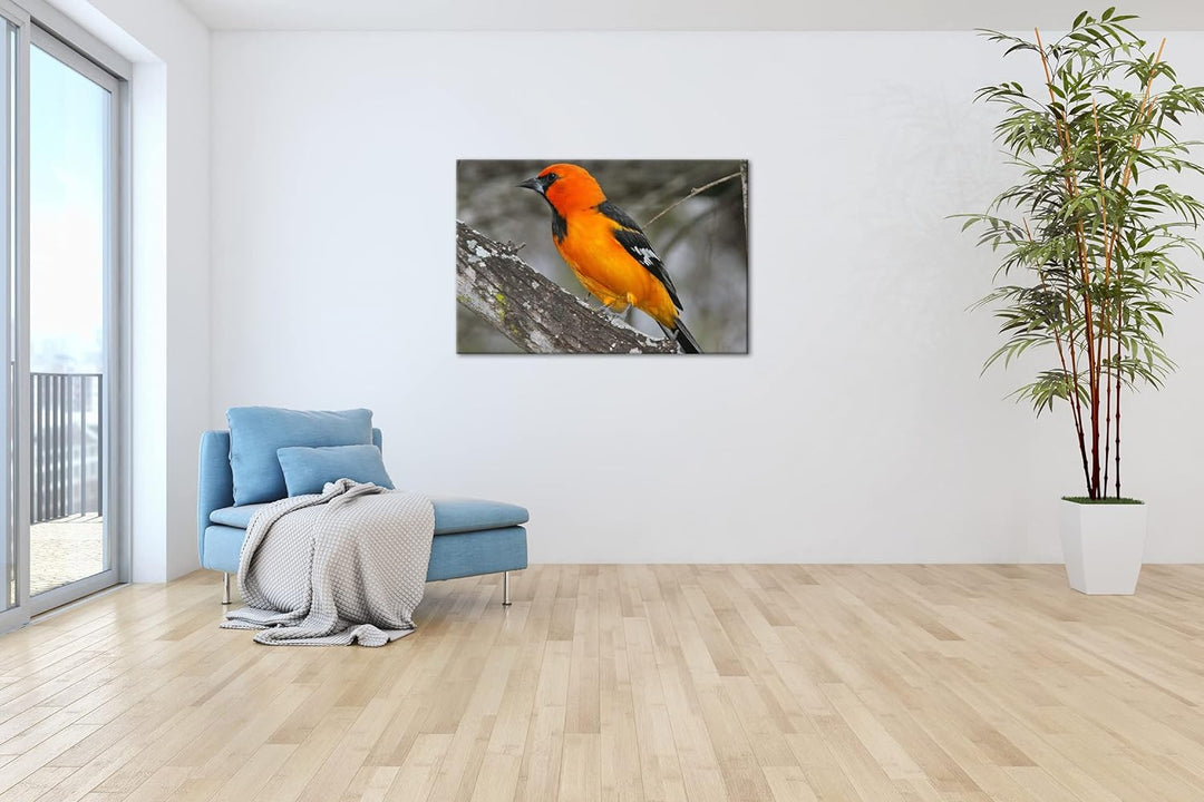 deyoli Anmutiger Vogel Format:90x60 cm als Leinwandbild, Motiv fertig gerahmt auf Echtholzrahmen, Ho