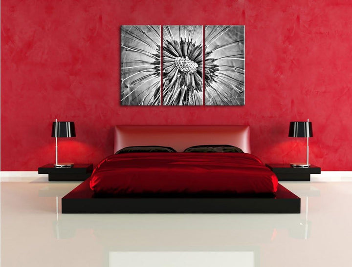 Pixxprint Vertrocknete Pusteblume als Leinwandbild/Grösse: 3 Teilig (120x80) cm/Wandbild/Kunstdruck/