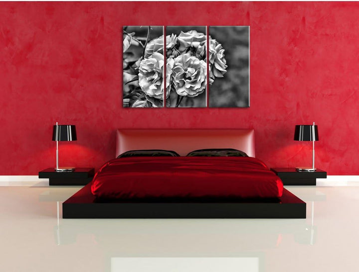 Pixxprint Weiss gelbe Rose Blumen als Leinwandbild/Grösse: 3 Teilig (120x80) cm/Wandbild/Kunstdruck/