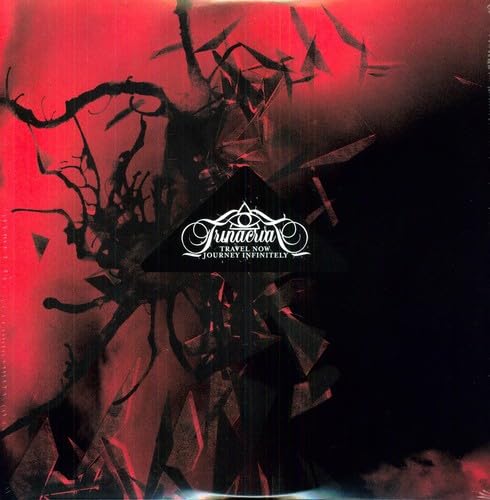 Travel Now Journey Infinitely, Vinyl
