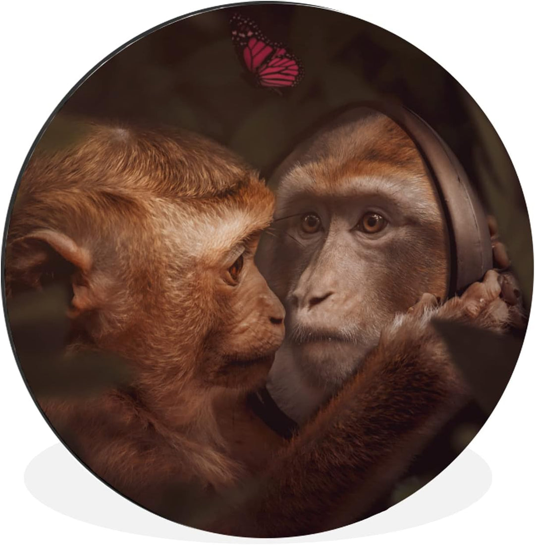 MuchoWow Wandbild Rund Wanddeko Deko Wohnzimmer Bilder 30x30 cm Schmetterling - Affe - Tiere - Dschu