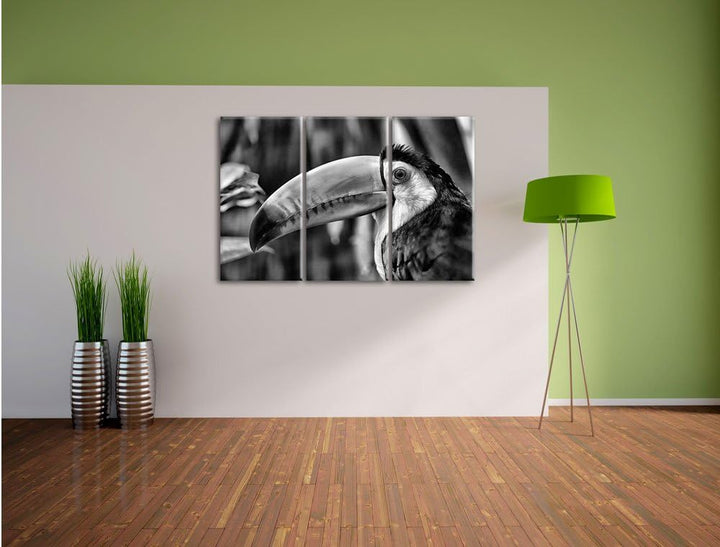 Pixxprint Monocrome, schöner Tukan 3-Teiler Leinwandbild 120x80 Bild auf Leinwand