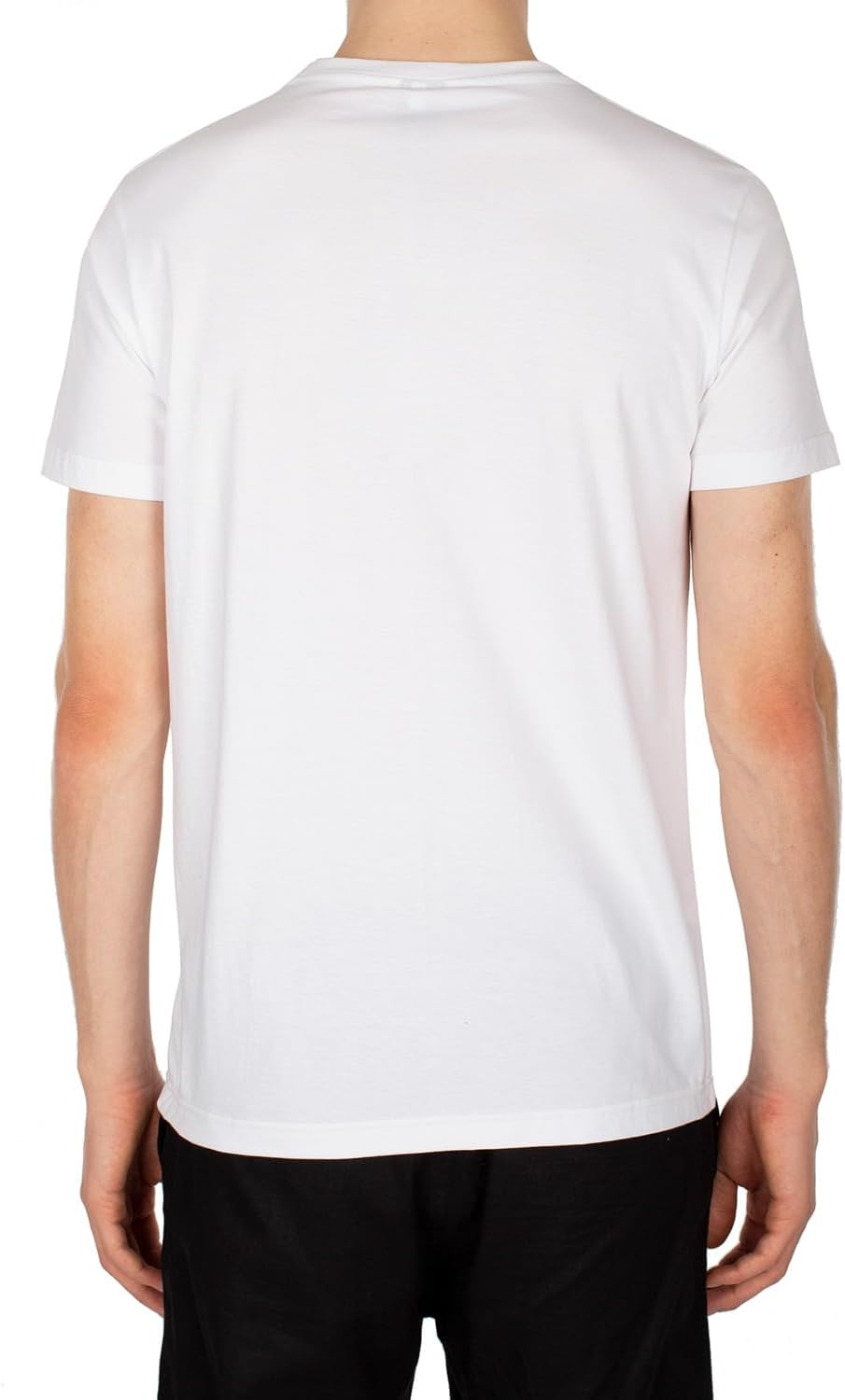 Iriedaily Iriedescent Flag T-Shirt Herren L Weiss, L Weiss