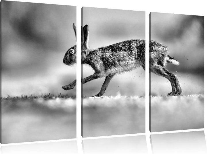 Pixxprint Hüpfender Hase / 3-Teilig/Gesamtmass 120cm Leinwandbild bespannt auf Holzrahmen/Wandbild K