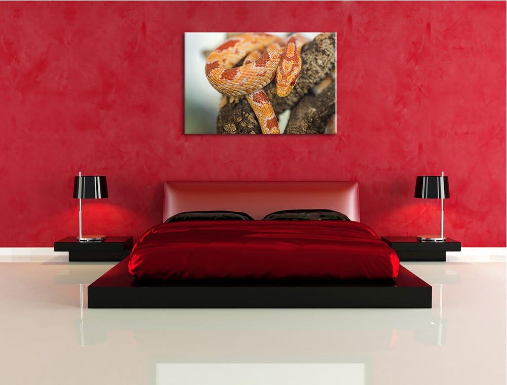 Pixxprint ruhende Kornnatter auf Leinwand, XXL riesige Bilder fertig gerahmt mit Keilrahmen, Kunstdr