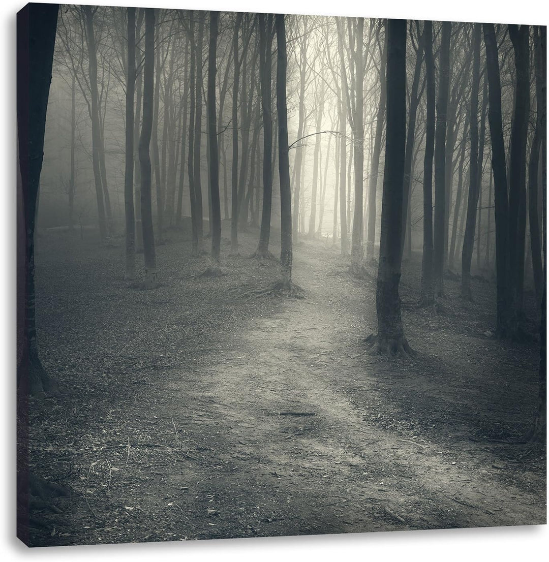 Pixxprint Düstere Landschaft schwarz weiss, Format: 70x70 auf Leinwand, 70x70