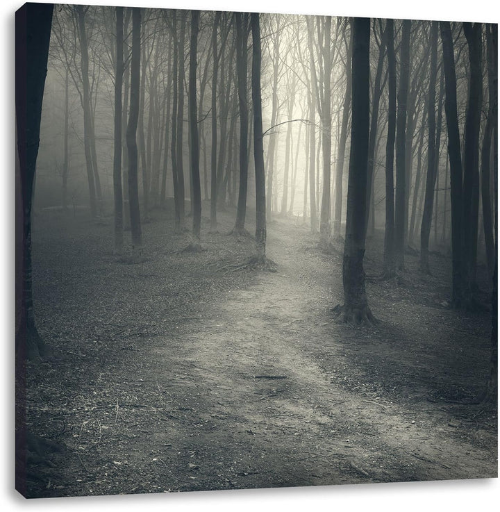 Pixxprint Düstere Landschaft schwarz weiss, Format: 70x70 auf Leinwand, 70x70