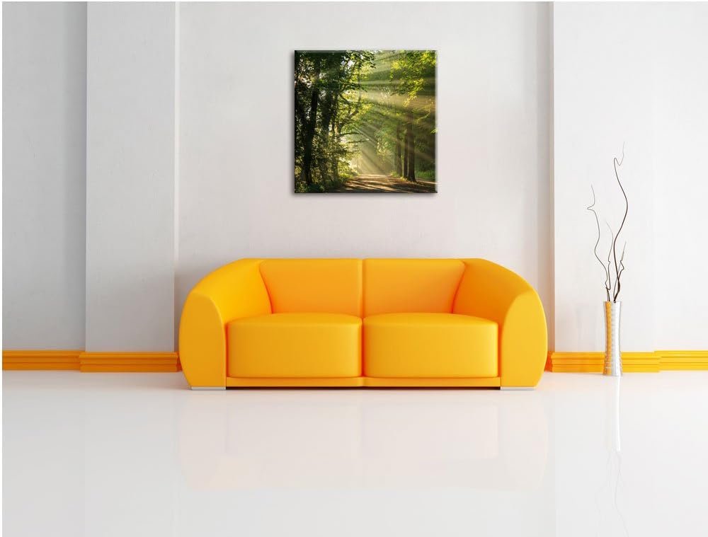 Pixxprint Sonniger Waldweg im Frühling, Format: 70x70 auf Leinwand, 70x70