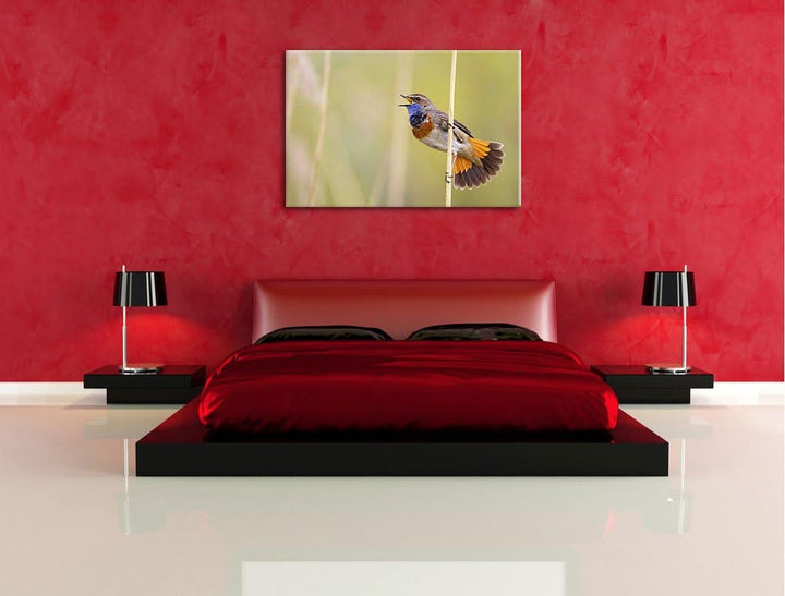schönes kleines Blaukehlchen Leinwand, XXL riesige Bilder fertig gerahmt mit Keilrahmen, Kunstdruck