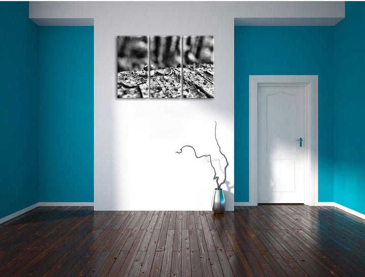 Pixxprint Kleiner Fliegenpilz auf Baumstamm als Leinwandbild/Grösse: 3 Teilig (120x80) / Wandbild/Ku