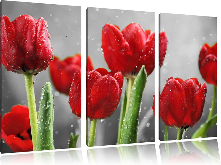 Pixxprint Rote Tulpen mit Tropfen bedeckt als Leinwandbild/Grösse: 3 Teilig (120x80) cm/Wandbild/Kun