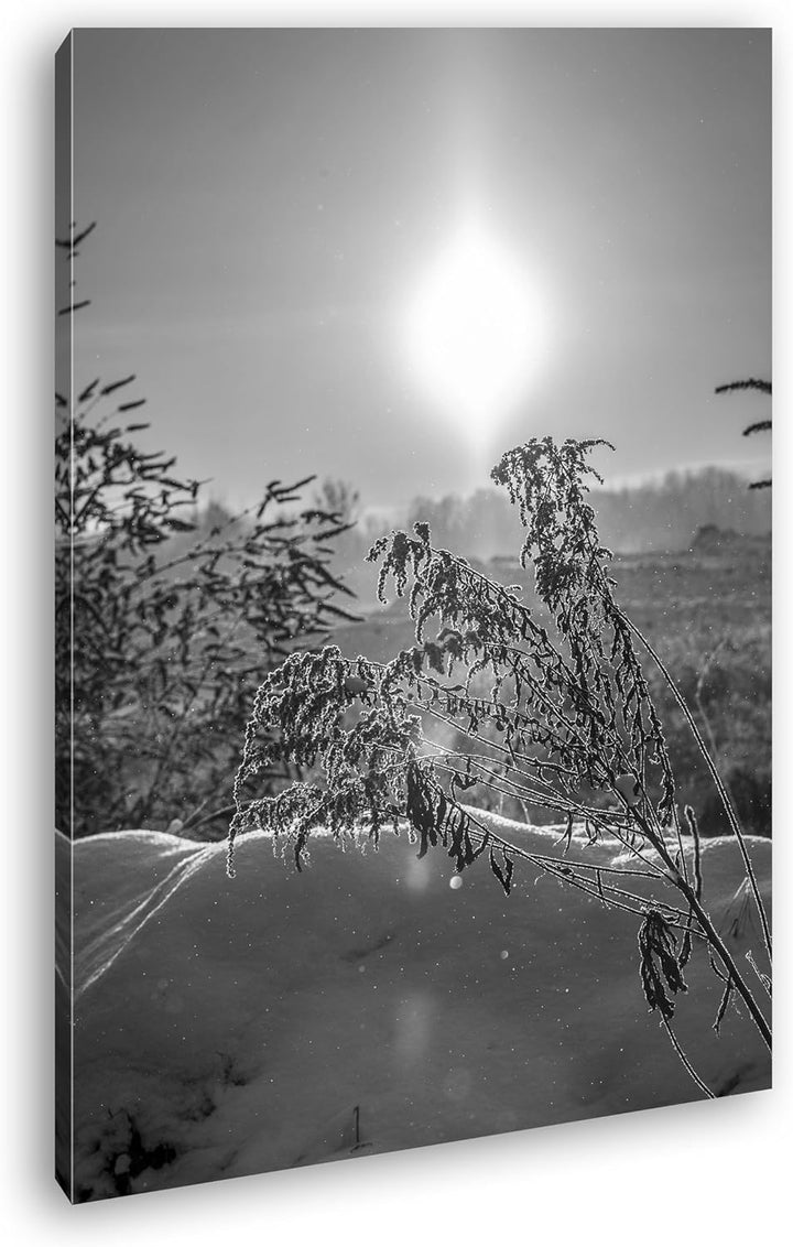 deyoli schneebedeckte Landschaft Format: 80x60 Effekt: Schwarz/Weiss als Leinwand, Motiv fertig gera