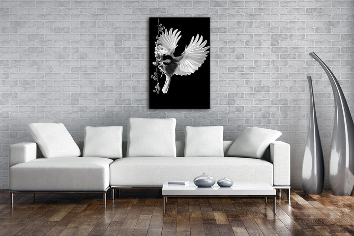 deyoli Dark traumhafter Vogel mit ausgestreckten Flügeln Effekt: Schwarz/Weiss Format: 80x60 als Lei