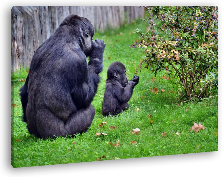 deyoli Gorillamutter mit ihrem Kind Format: 80x60 als Leinwandbild, Motiv fertig gerahmt auf Echthol