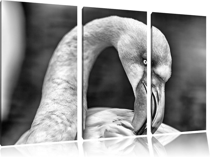 Pixxprint Flamingo beim Putzen als Leinwandbild/Grösse: 3 Teilig (120x80) cm/Wandbild/Kunstdruck/fer