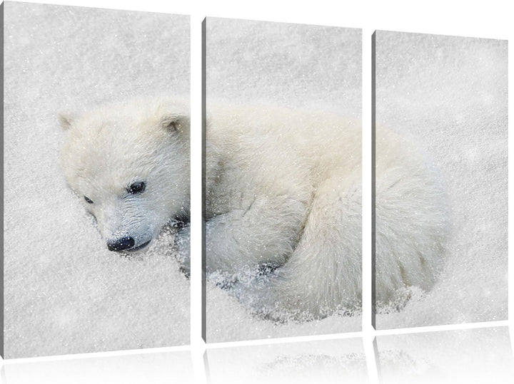 Pixxprint Eisbär im Schnee als Leinwandbild/Grösse: 3 Teilig (120x80) cm/Wandbild/Kunstdruck/fertig