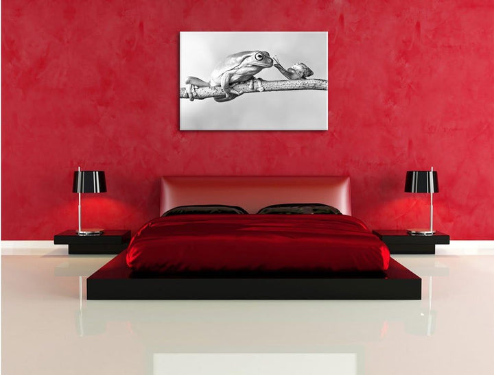 Pixxprint Frosch und die Schnecke als Leinwandbild/Grösse: 100x70 cm/Wandbild/Kunstdruck/fertig besp