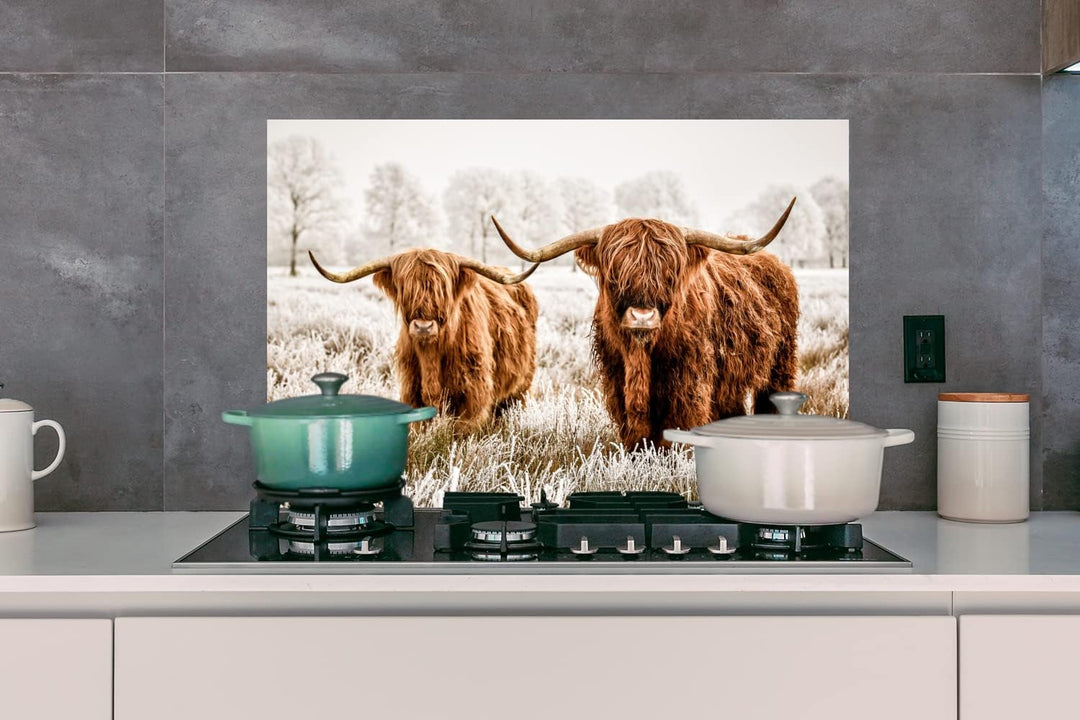 MuchoWow Spritzschutz Küche Küchenrückwand Alu Poster Bilder 80x55 cm Schottischer Hochländer - Kuh