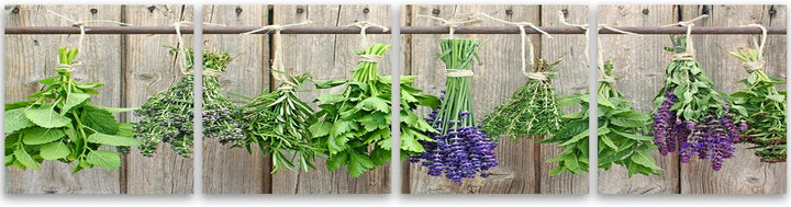 Feeby Bilder 4 Teile Kräuter Pflanzen 80x20 cm Wohnzimmer Schlafzimmer Büro Flur Küche Wandbilder Mo