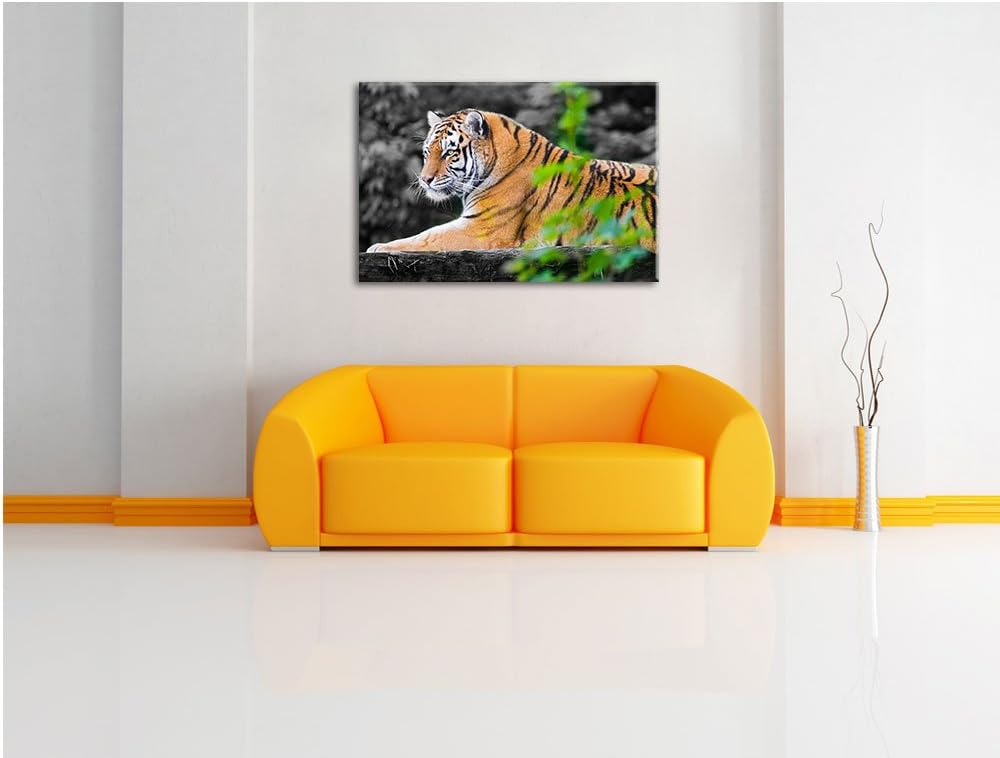 anmutiger Tiger auf Baumstamm schwarz/weiss auf Leinwand, XXL riesige Bilder fertig gerahmt mit Keil
