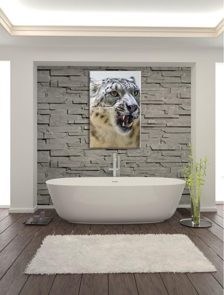 Pixxprint Schneeleopard zeigt Zähne auf Leinwand, XXL riesige Bilder fertig gerahmt mit Keilrahmen,