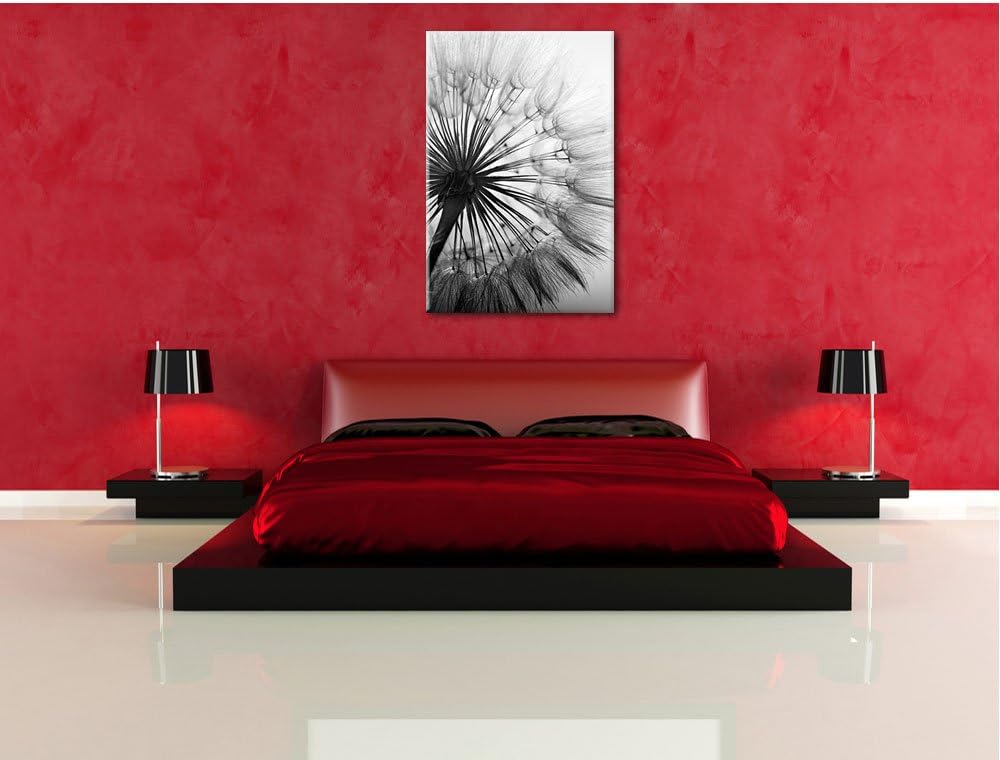 Pixxprint Schöne Pusteblume Schwarz/Weiss, Format: 100x70 auf Leinwand, 100x70
