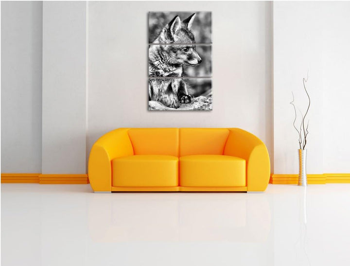 Pixxprint junger Fuchs als Leinwandbild/Grösse: 3 Teilig (120x80) / Wandbild/Kunstdruck/fertig bespa